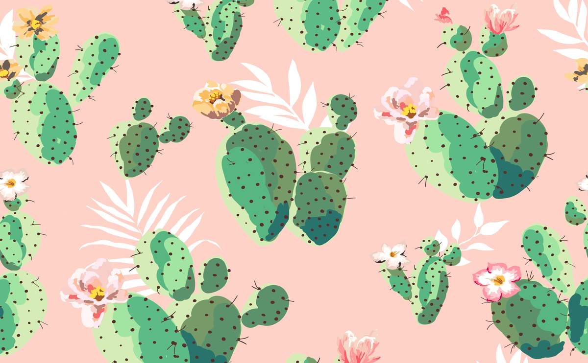 1200x742 Cactus Plants Wallpaper for Walls. Cacti on Pink