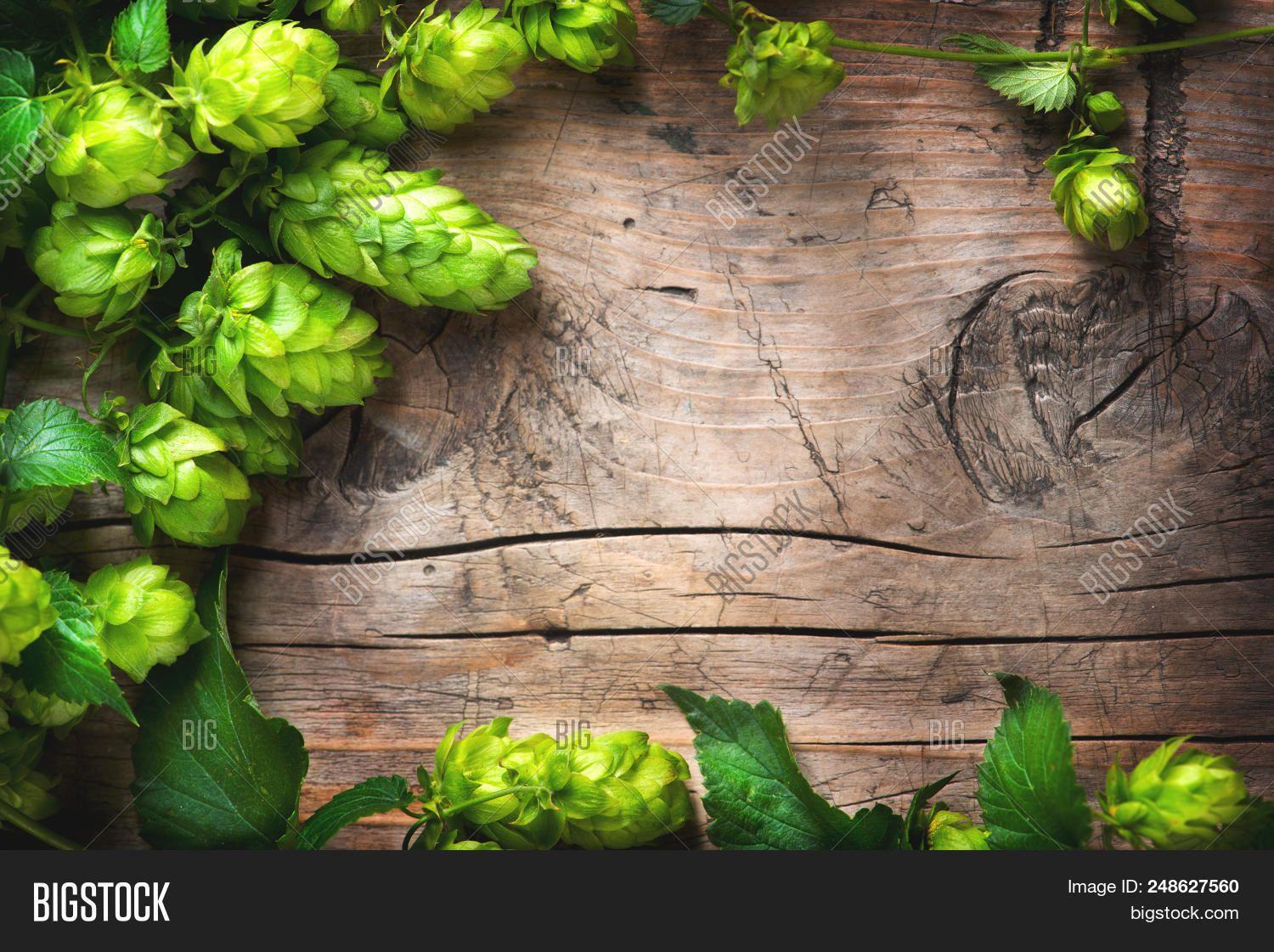 Hops Wallpapers - Top Free Hops Backgrounds - WallpaperAccess