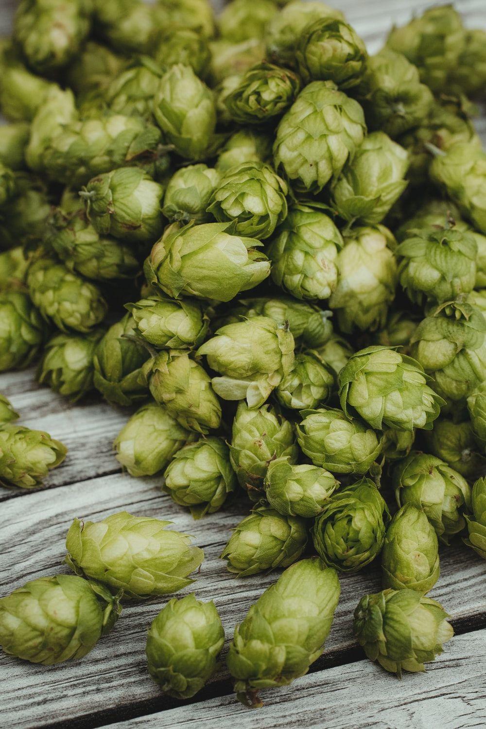 Hops Wallpapers - Top Free Hops Backgrounds - WallpaperAccess