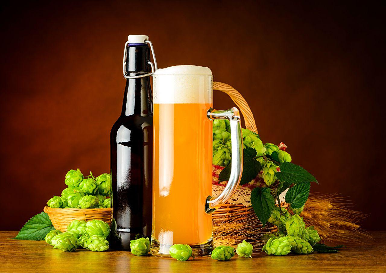 1280x905 Wallpaper Beer Hops Mug Foam Food Bottle
