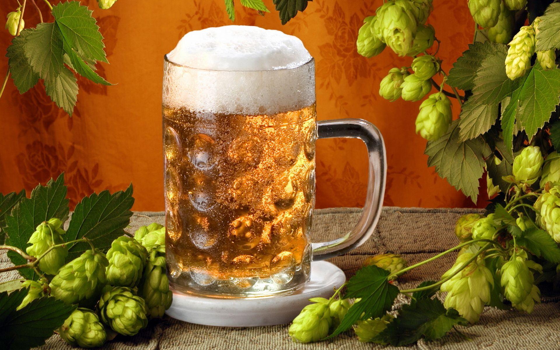 1920x1200 Beer Hops Wallpaper