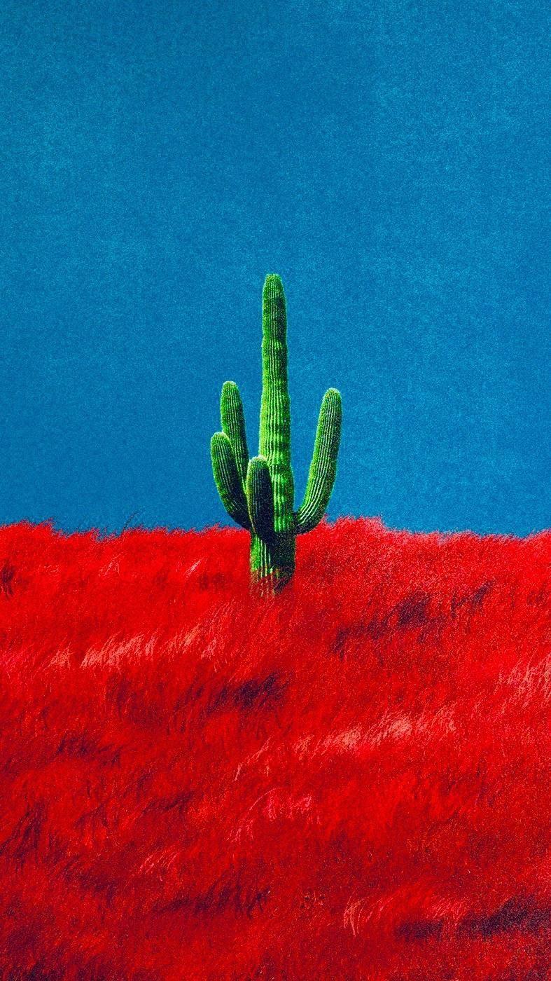 787x1400 Vintage Cactus Computer Wallpaper .