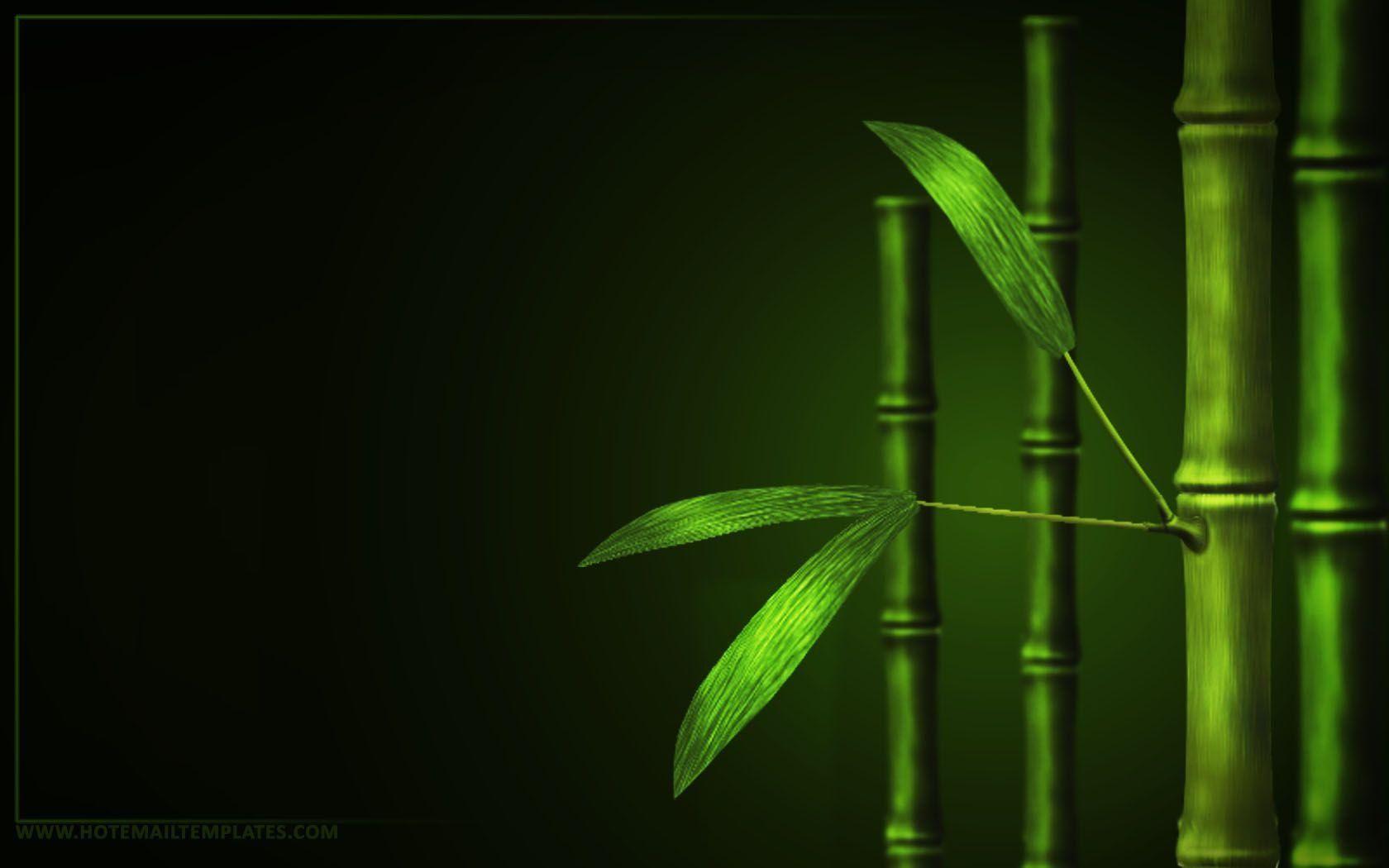 Black Bamboo Wallpapers - Top Free Black Bamboo Backgrounds ...