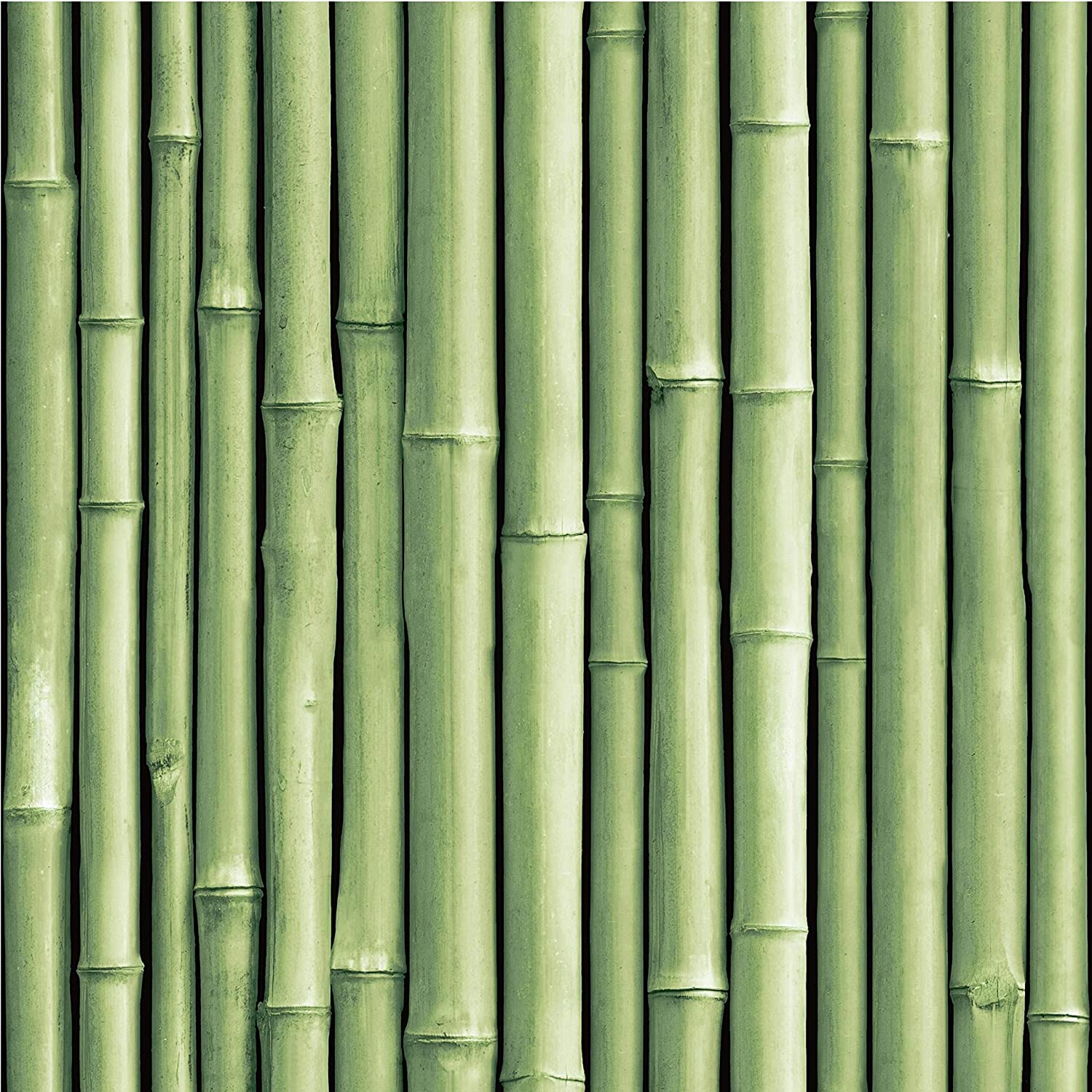 Black Bamboo Wallpapers - Top Free Black Bamboo Backgrounds