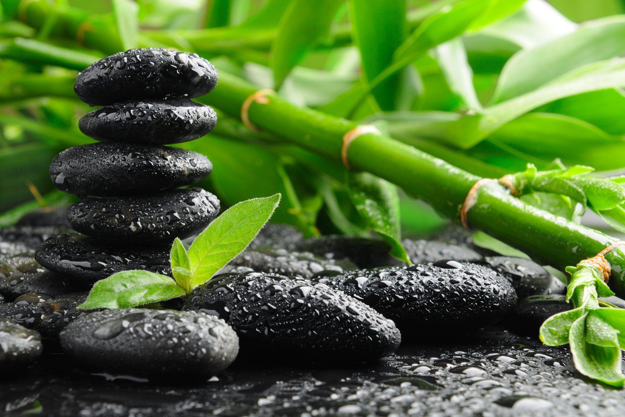 2000x1333 green, Bamboo, And, Black, Stones, Other Wallpaper HD / Desktop and Mobile Background