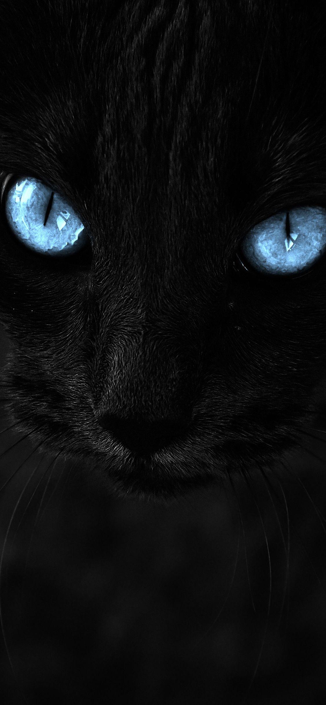 1125x2436 Black Panther iPhone Wallpaper