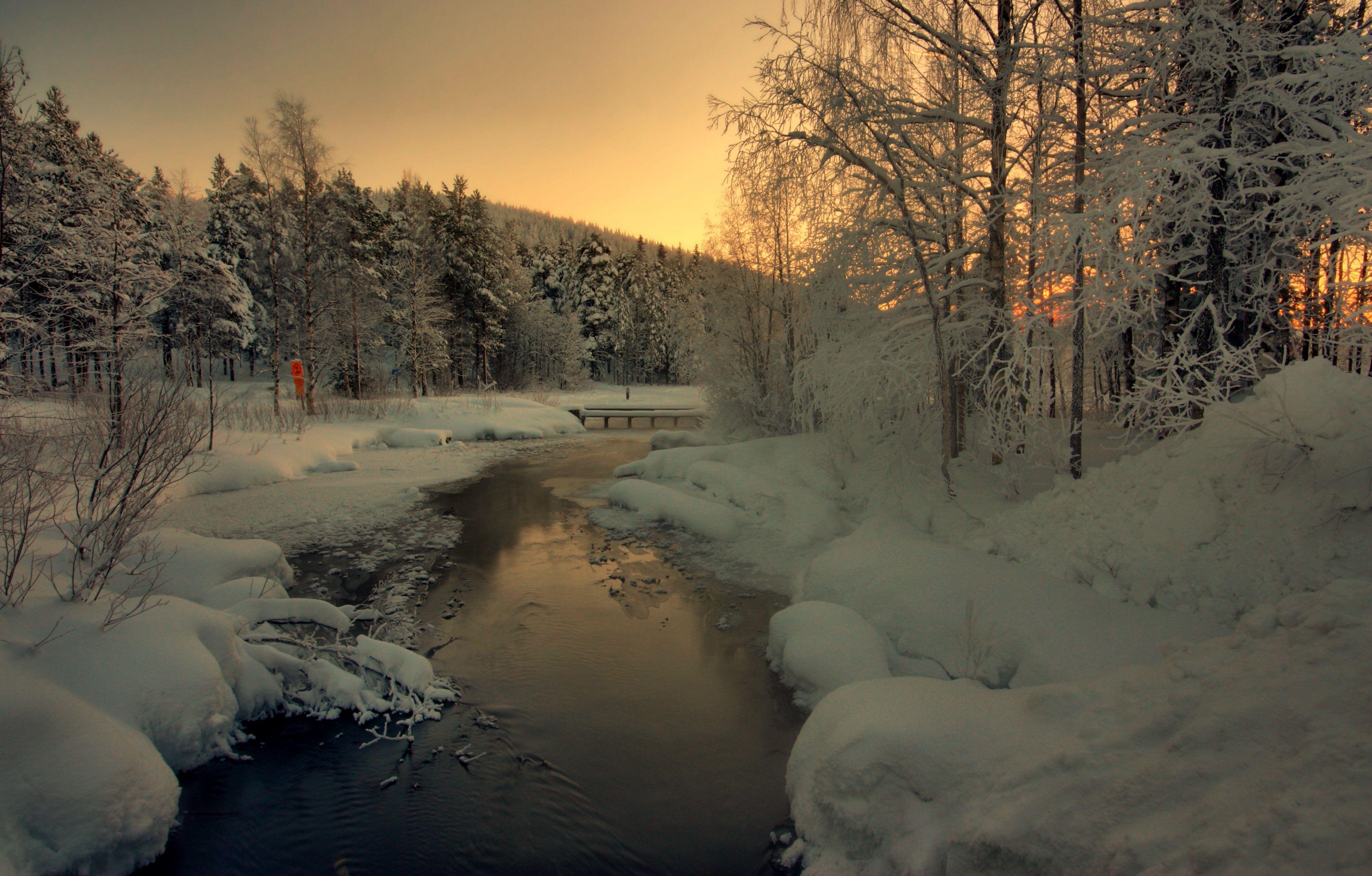 4115x2628 Arctic Forests Sunrise .