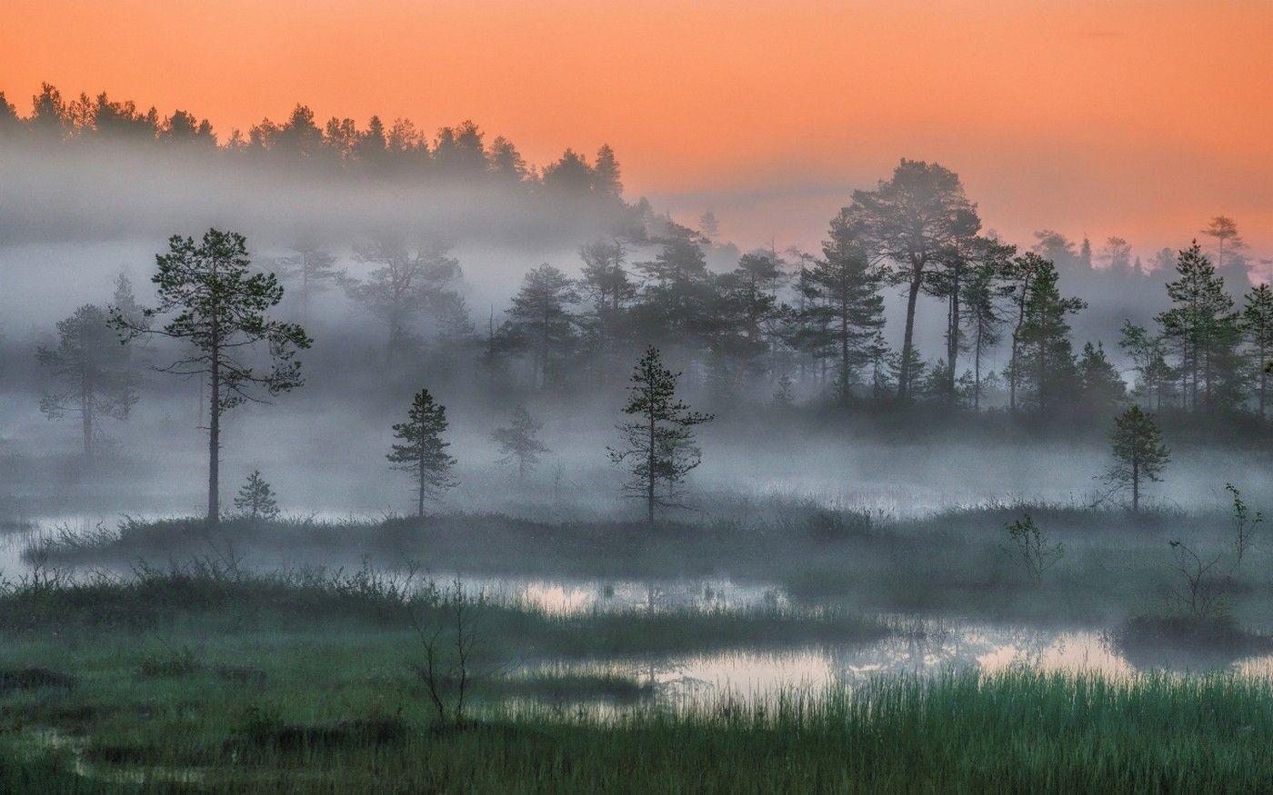 1400x875 Nature Landscape Russia Forest Mist Trees Sunset Night Arctic Wetland Wallpaper:1400x875
