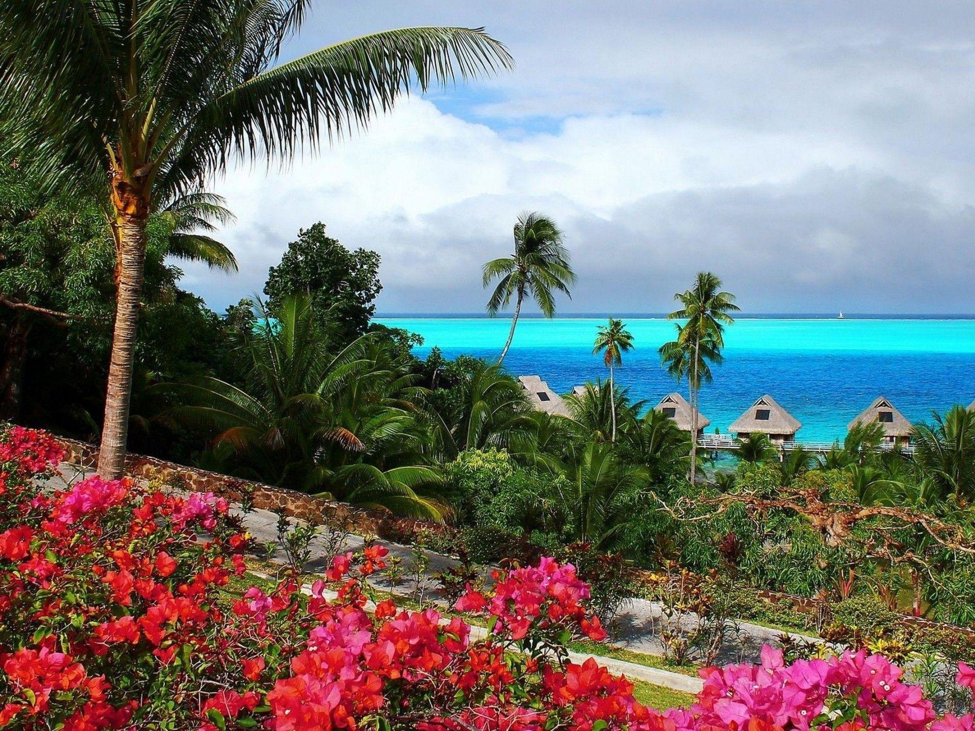 1920x1440 Colorful Summer Beach Nature Flowers HD Wallpaper 17512 :