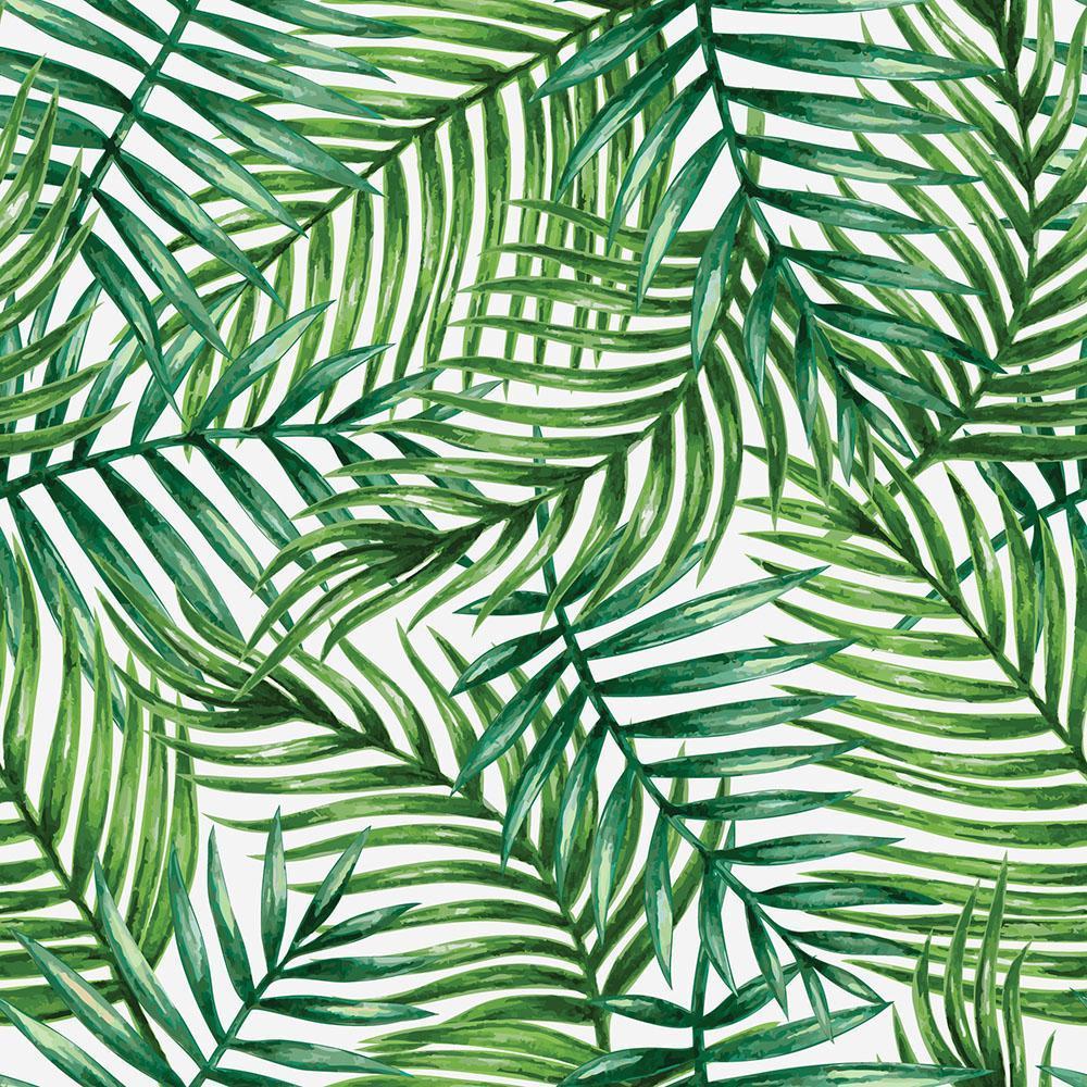 Tropical Palm Leaf Wallpapers - Top Free Tropical Palm Leaf Backgrounds