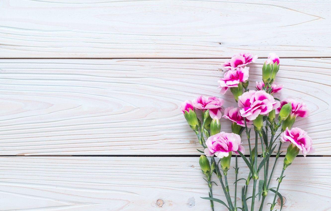 1332x850 Wallpaper flowers, pink, wood, pink, carnation, flowers image for desktop, section цветы