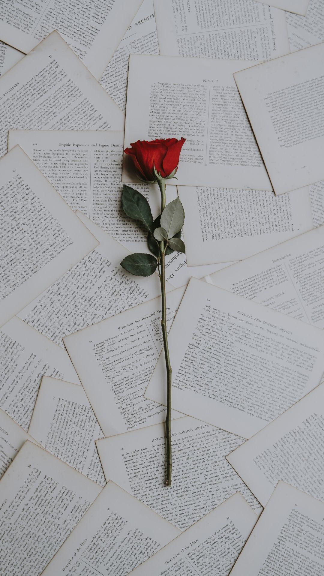 1080x1920 A Court Of Thorns And Roses Wallpaper