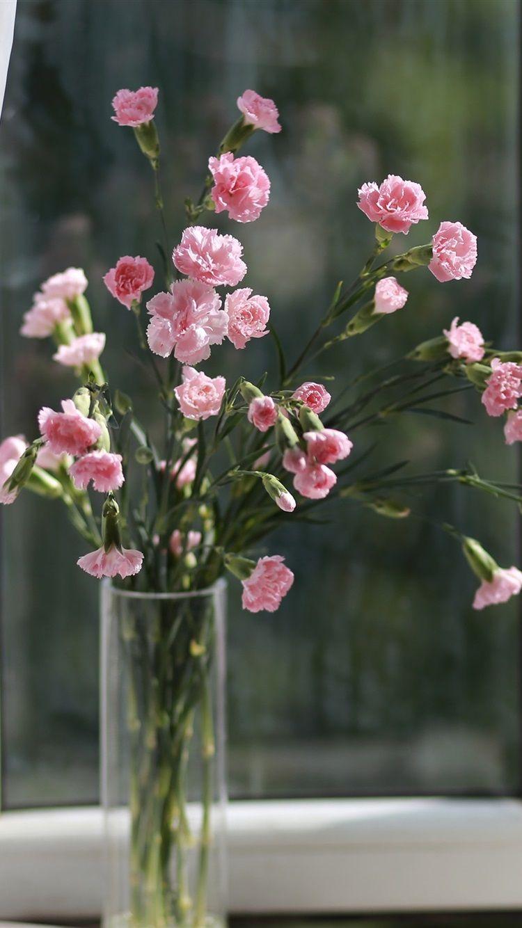 750x1334 Carnation Wallpaper
