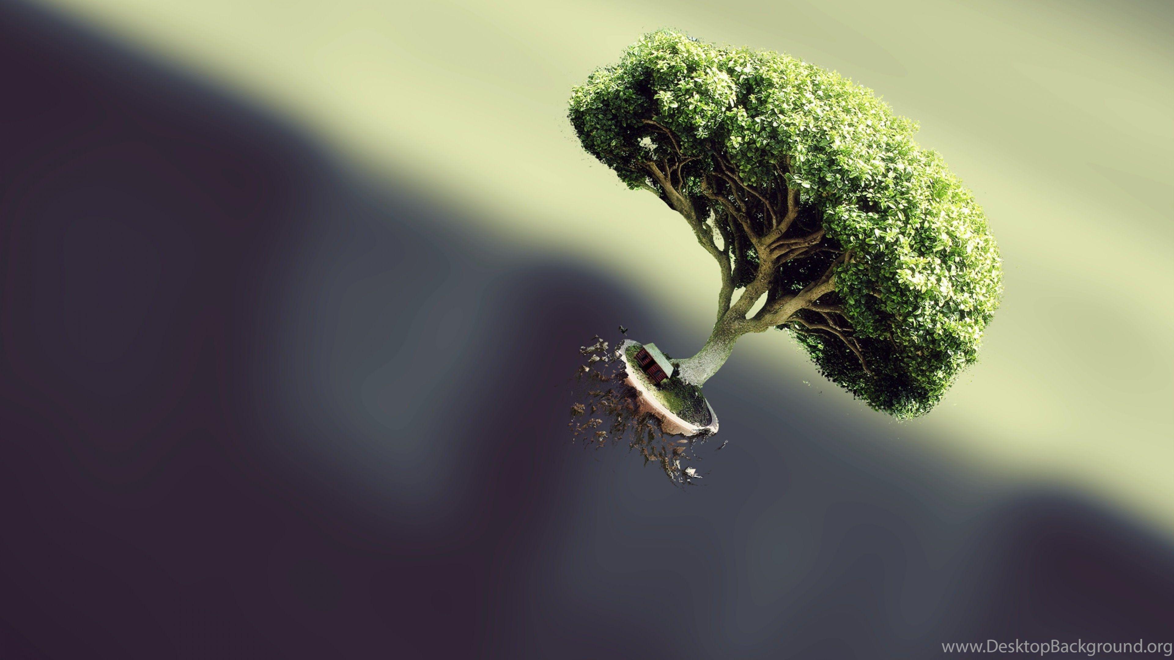 3840x2160 Download Wallpaper 3840x2400 Tree, Flying, Form, Plant, Fantasy. Desktop Background