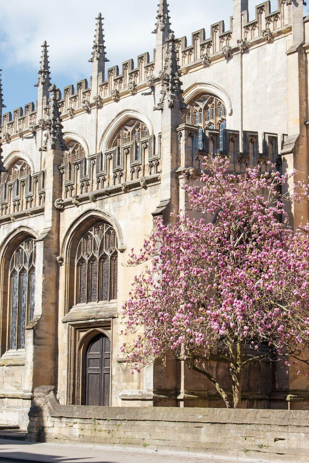 1000x1500 Oxford Picture [HD]. Download Free Image