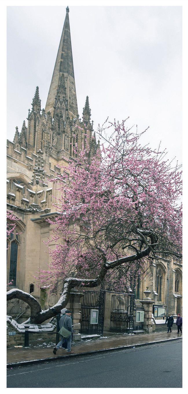 650x1361 Oxford University Mobile Wallpaper Background Image Free Download 400538622