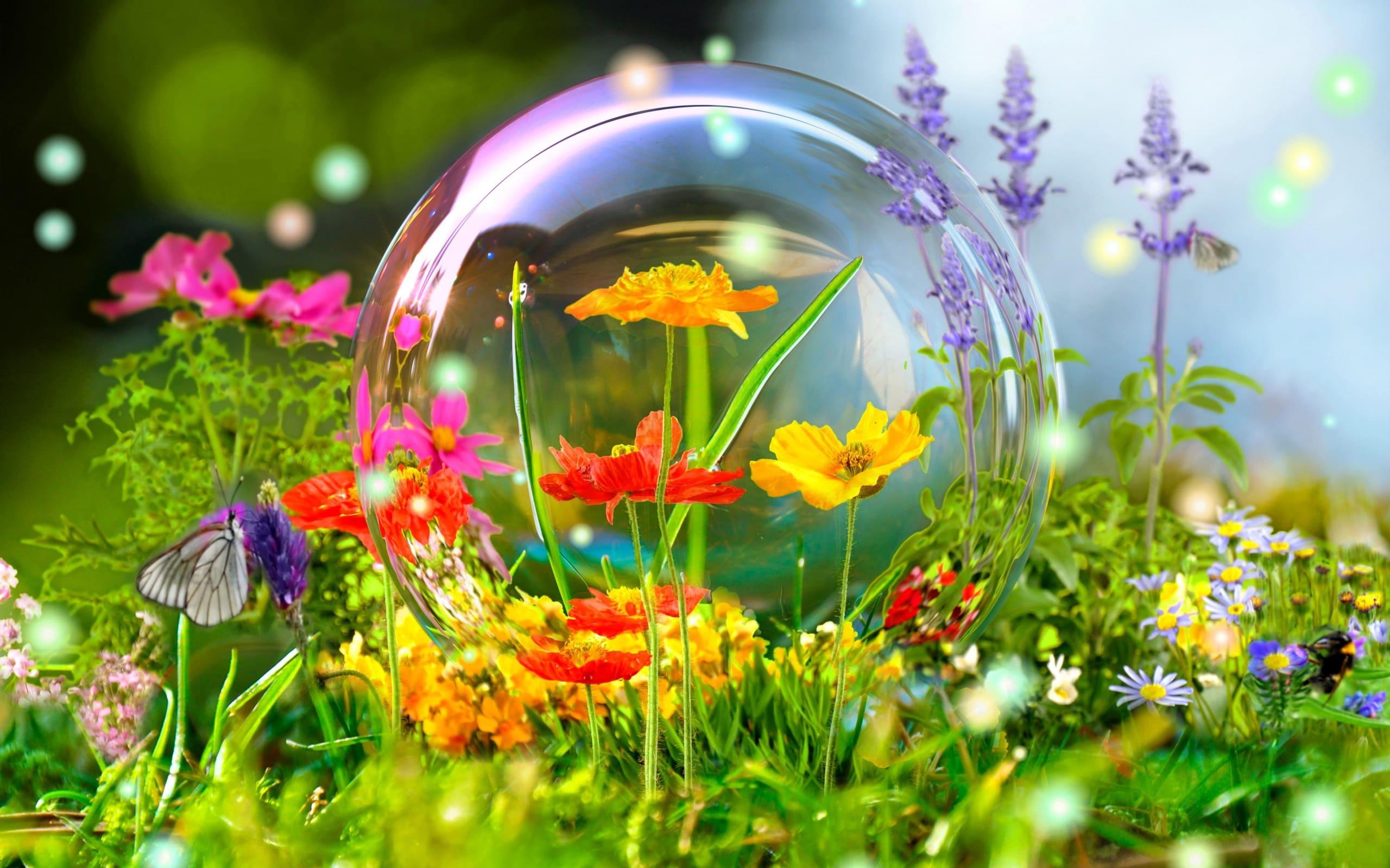 2560x1600 image of Beautiful Summer Nature. 100 Photo for Your Desktop
