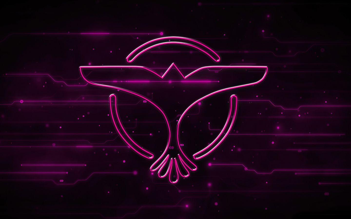 1440x900 Dj Tiesto 1440x900 Resolution HD 4k Wallpaper, Image, Background, Photo and Picture