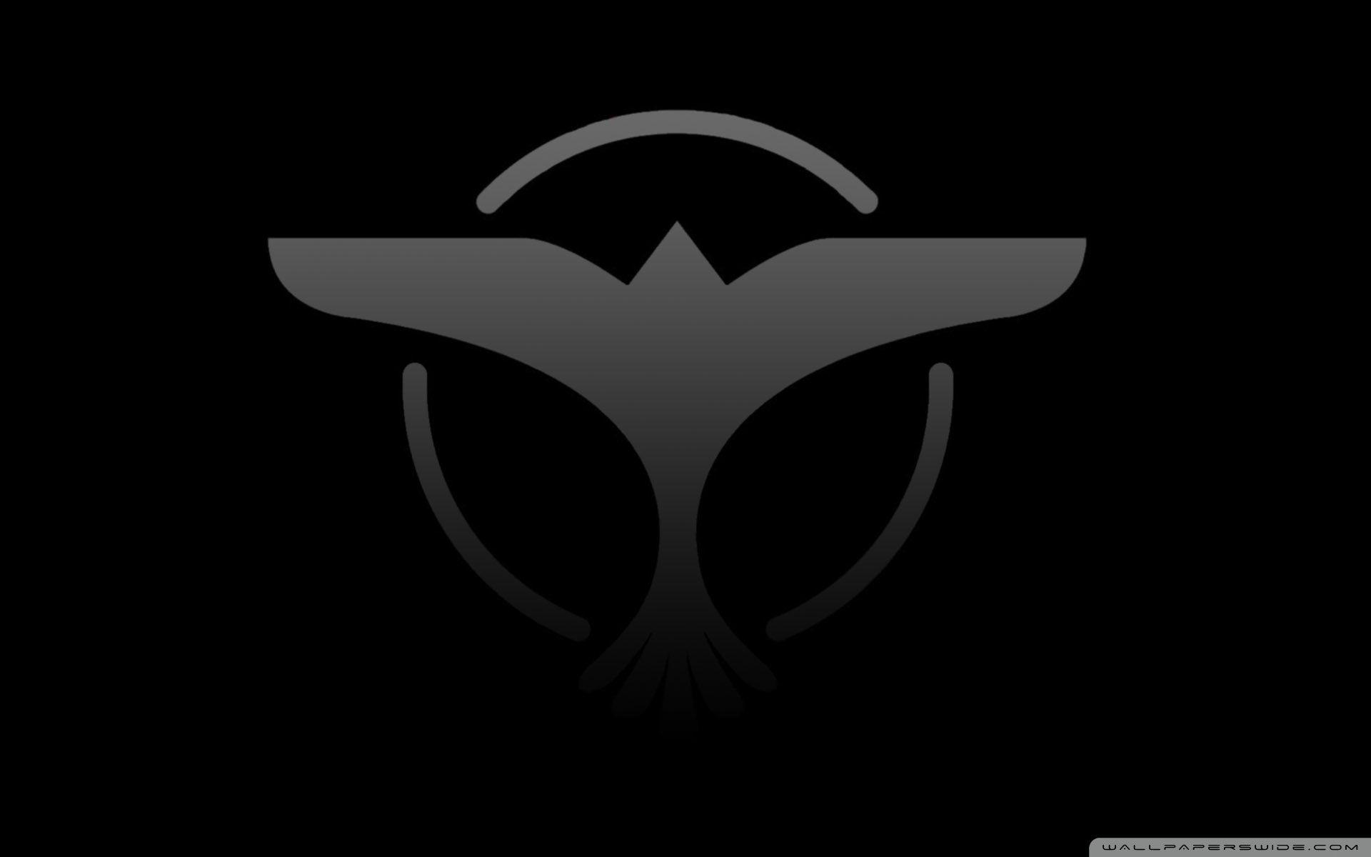1920x1200 Dj Tiesto Ultra HD Desktop Background Wallpaper for 4K UHD TV : Tablet