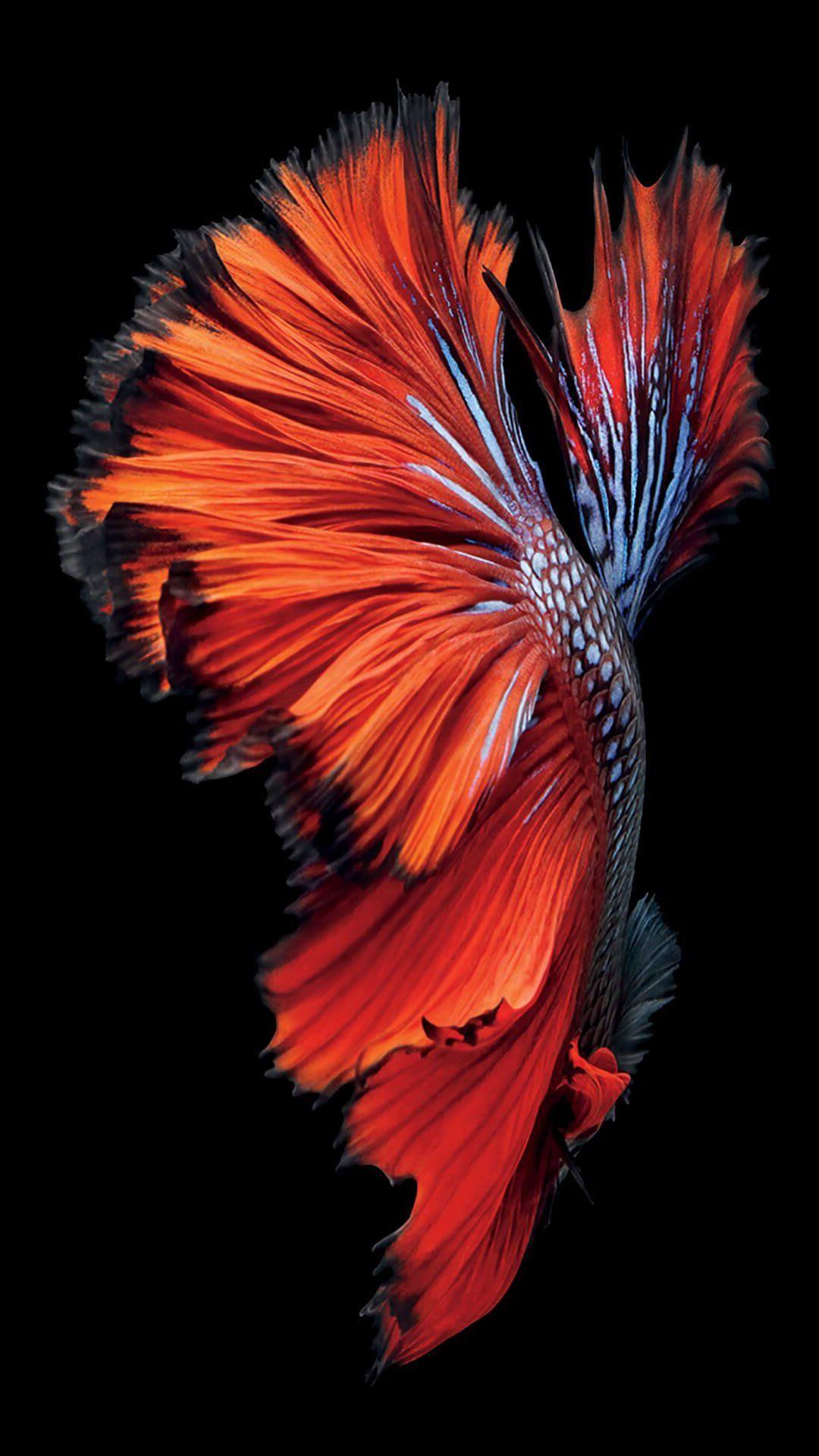 1080x1921 iPhone 7 Default Wallpaper 3D iPhone Wallpaper