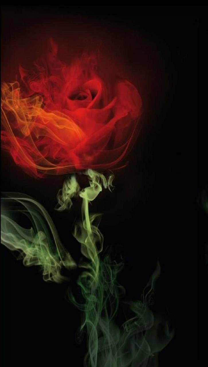 Smoke Rose Wallpapers Top Free Smoke Rose Backgrounds WallpaperAccess