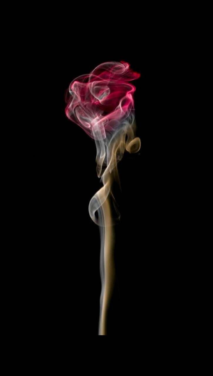 Smoke Rose Wallpapers - Top Free Smoke Rose Backgrounds - WallpaperAccess