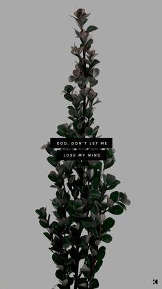 236x419 Creative Wallpaper, Wallpaper, Cage, and Elephant image ideas & inspiration on Designspiration