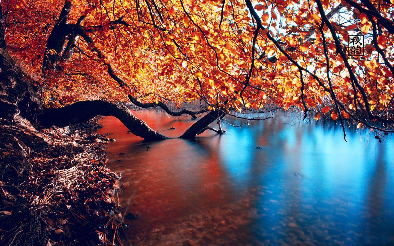 1280x800 Free download Late autumn seasonal lake views photography wallpaper 8 [1280x800] for your Desktop, Mobile & Tablet. Explore Seasonal Desktop Background. Free Wallpaper Background, Holiday Wallpaper For Desktop, Free