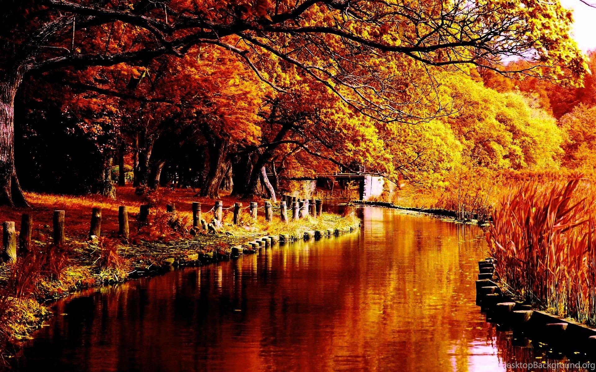 1920x1200 Autumn Photography Wallpaper Desktop Background Desktop Background