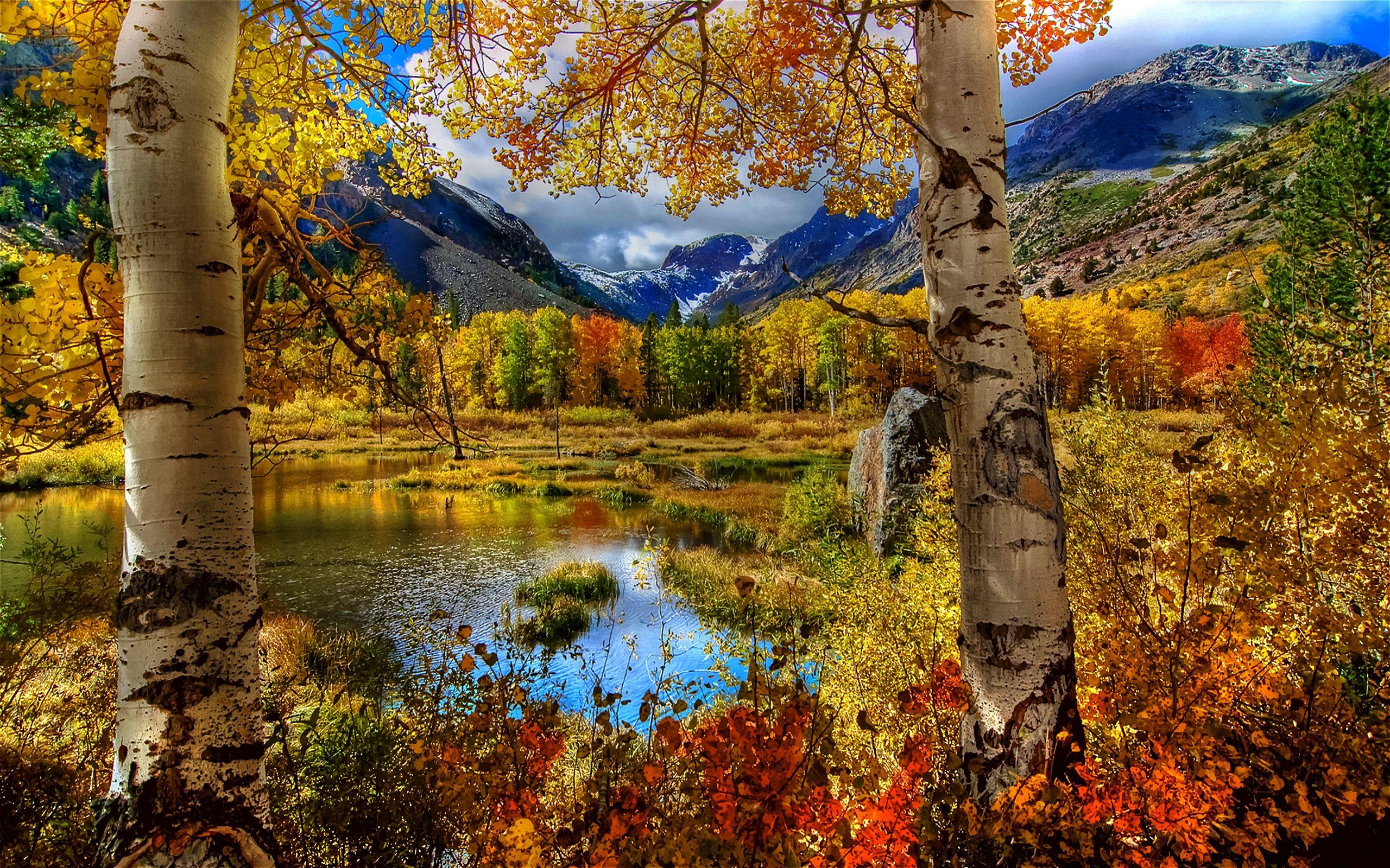 2560x1600 Nature Autumn