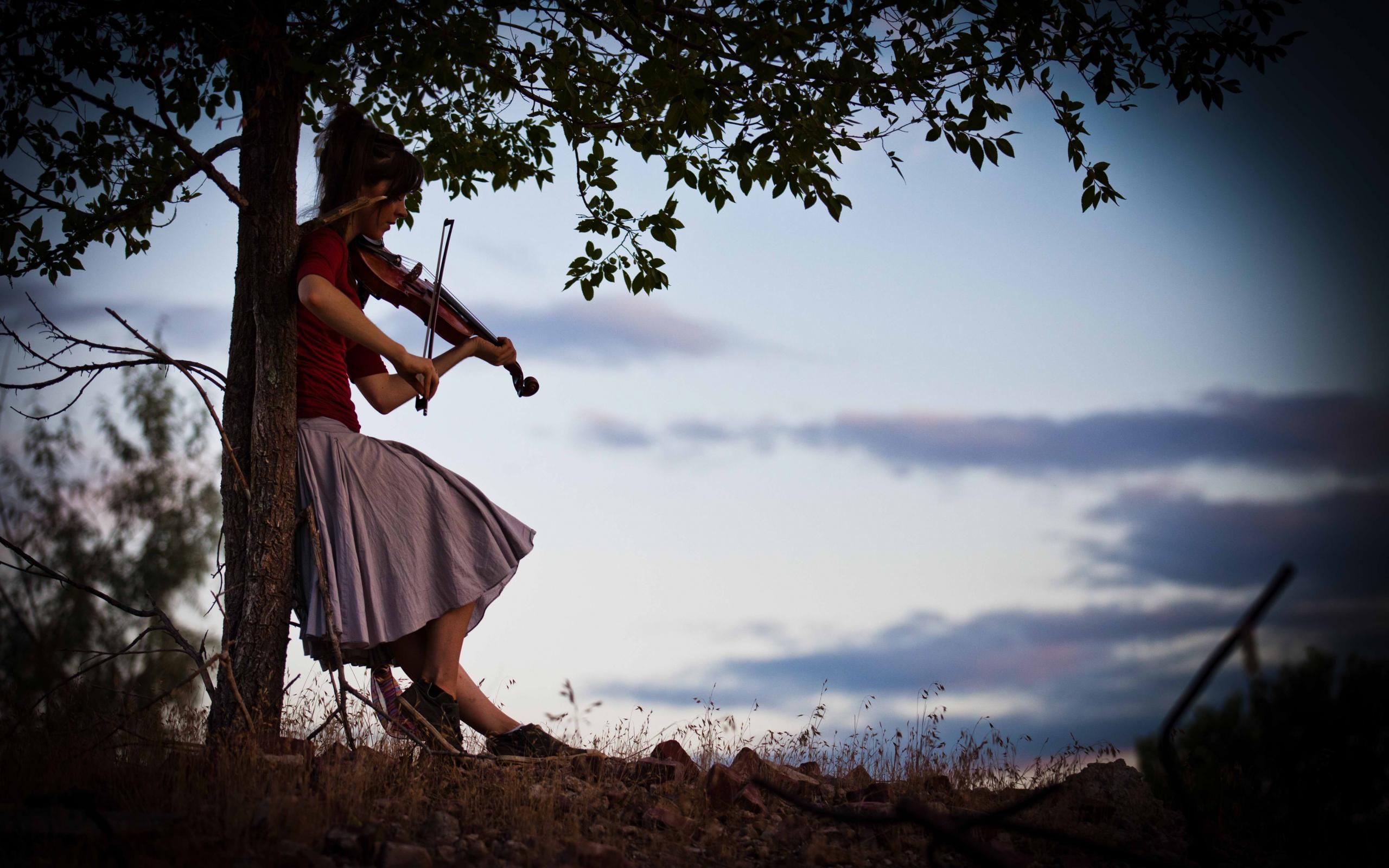 2560x1600 Violin Wallpaper HD For Mobile