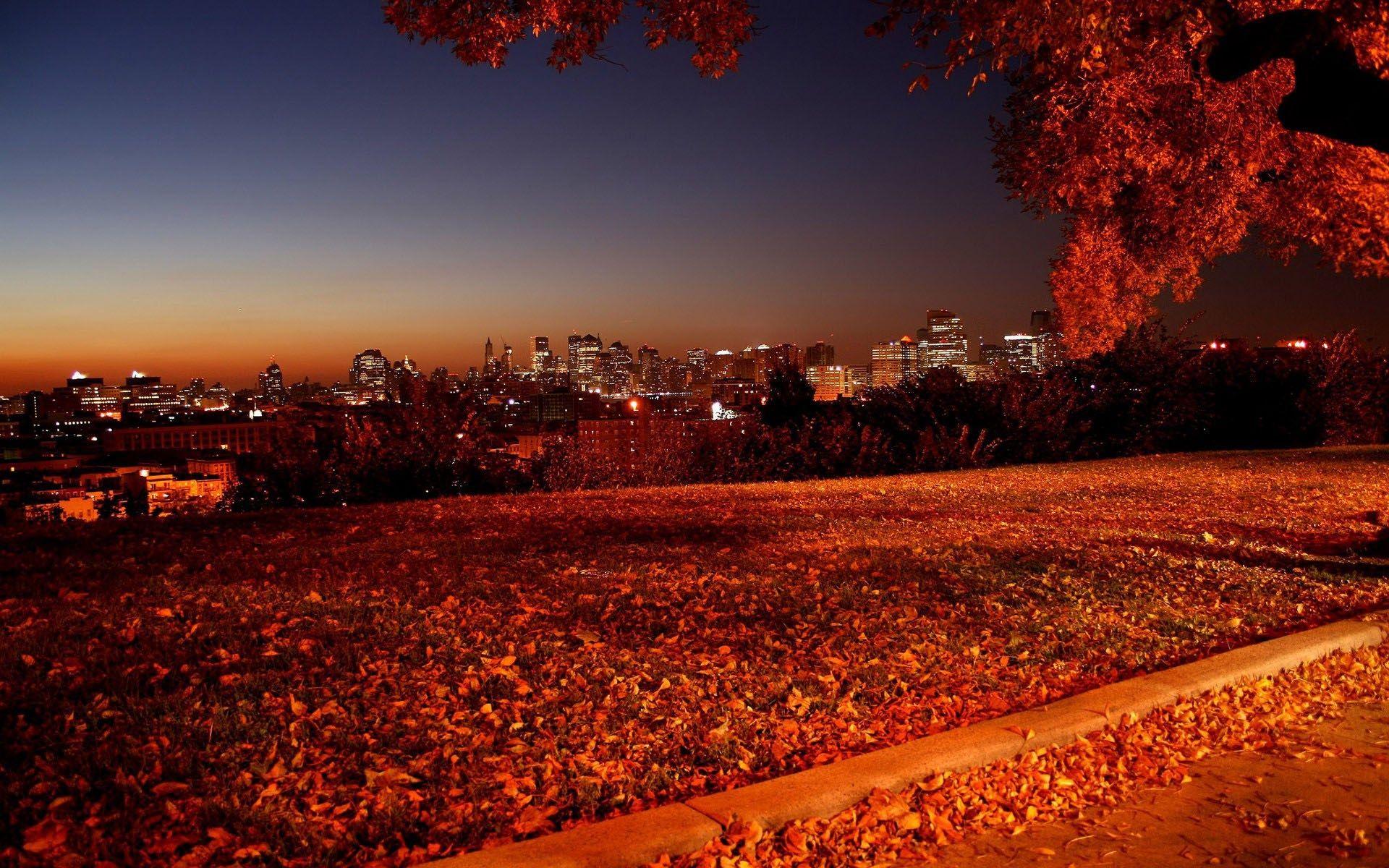 1920x1200 1920x1200 autumn photography wallpaper free