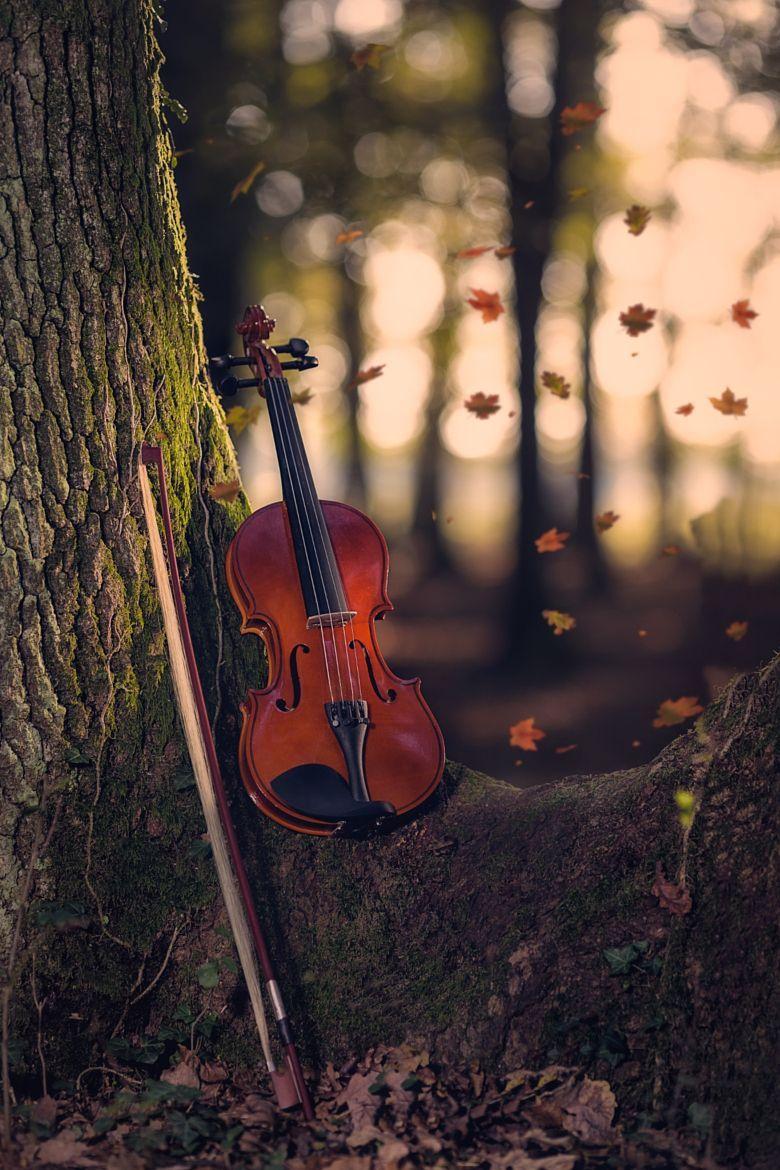 Осенние скрипки. Музыкальный пейзаж. Скрипка на природе. Осенняя скрипка. Скрипка осень.