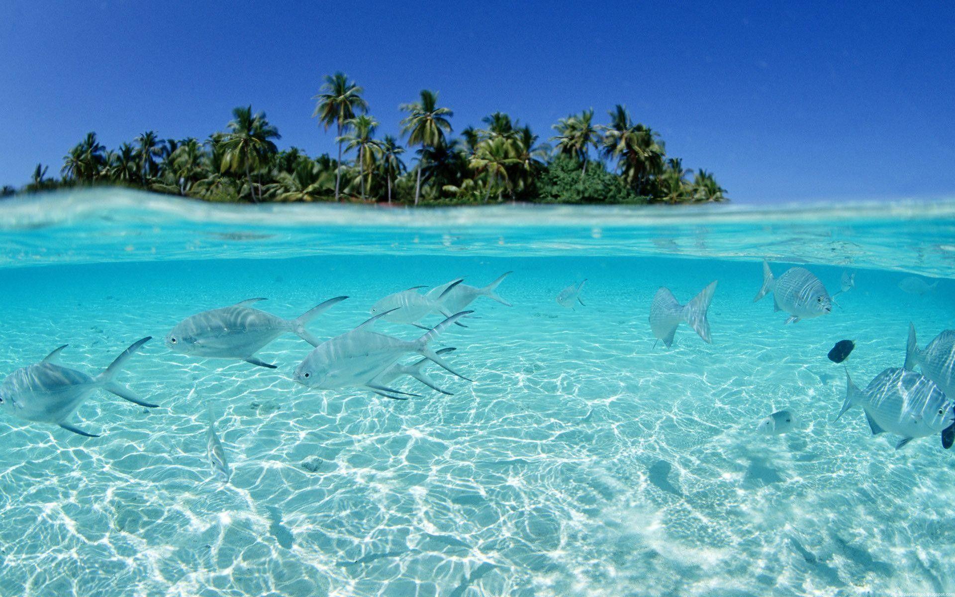 1920x1200 Ocean Desktop Wallpaper background picture