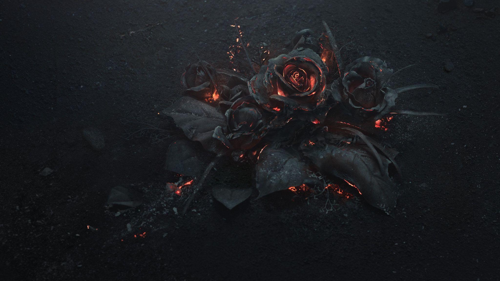 2048x1152 Wallpaper black rose illustration, ash, burning, abstract, dark, flowers • Wallpaper For You HD Wallpaper For Desktop & Mobile
