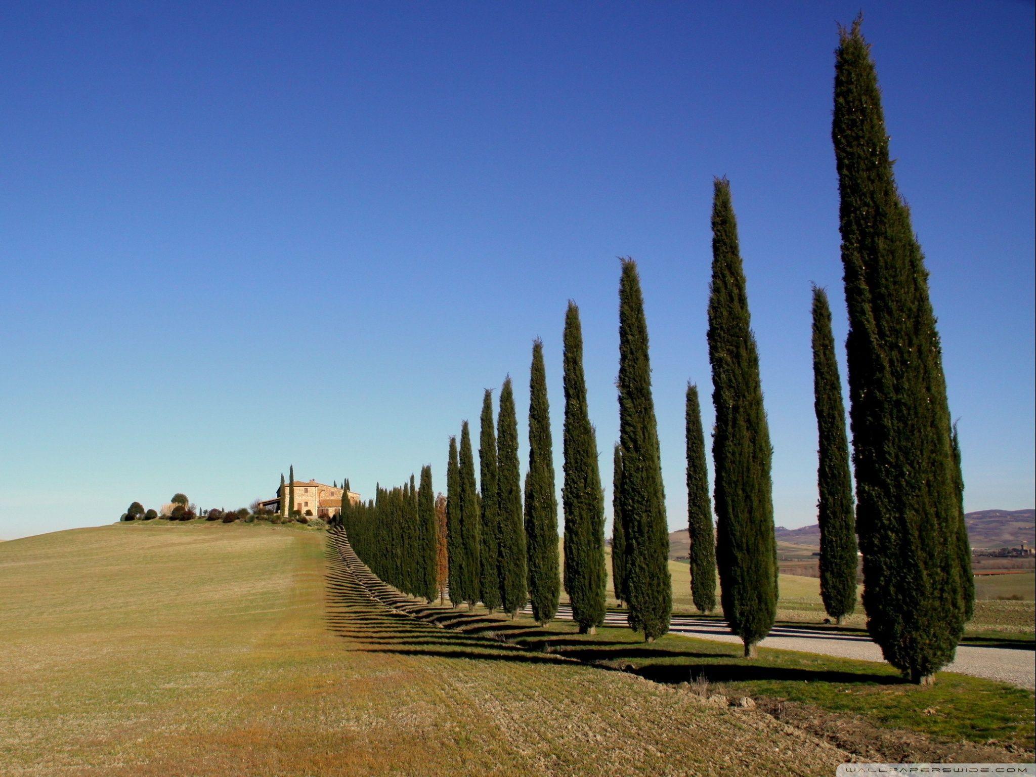 2048x1536 Tuscany Landscape Ultra HD Desktop Background Wallpaper for 4K UHD TV : Tablet