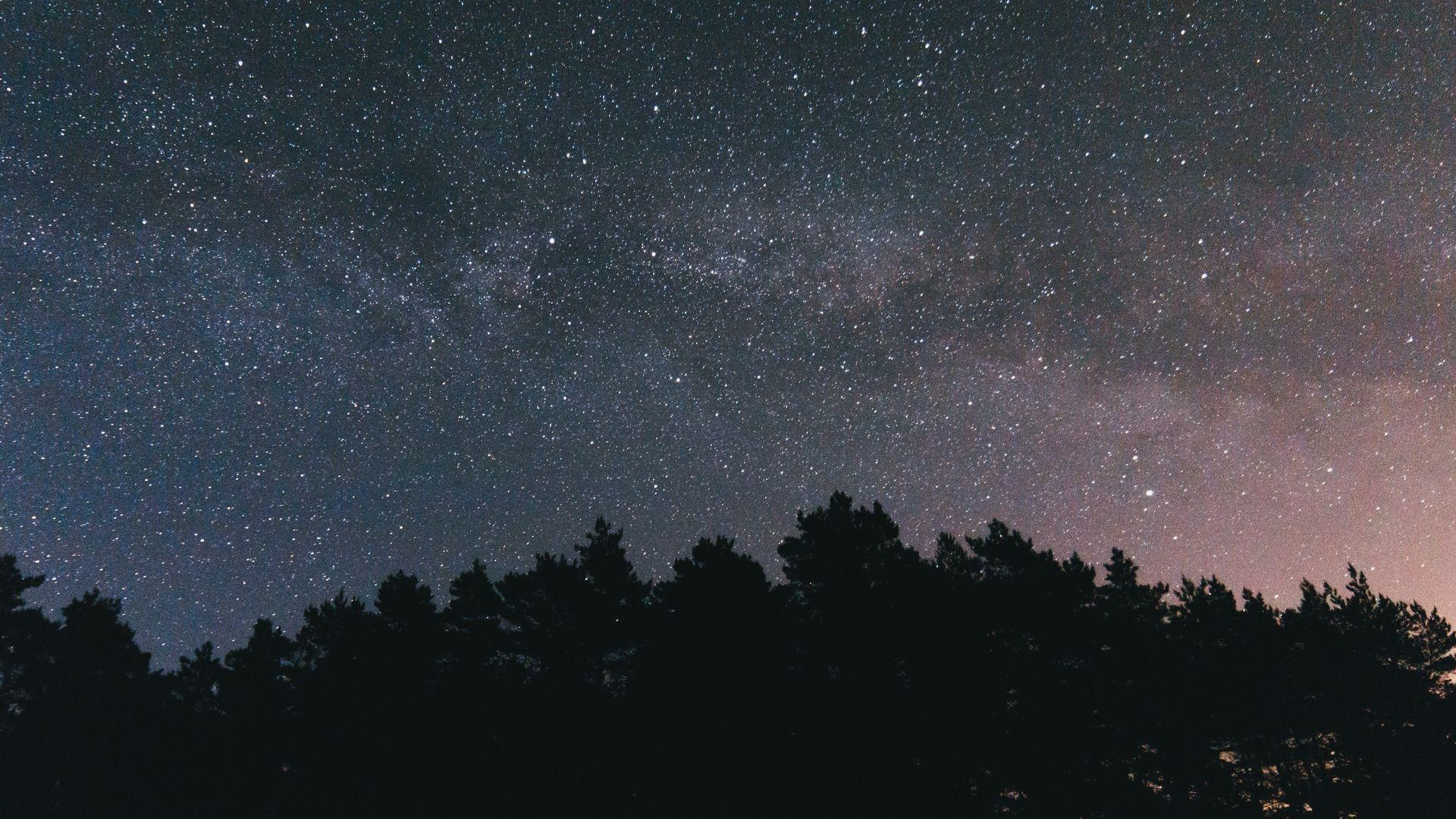 1920x1080 Wallpaper Starry Sky, Night, Trees, Sky