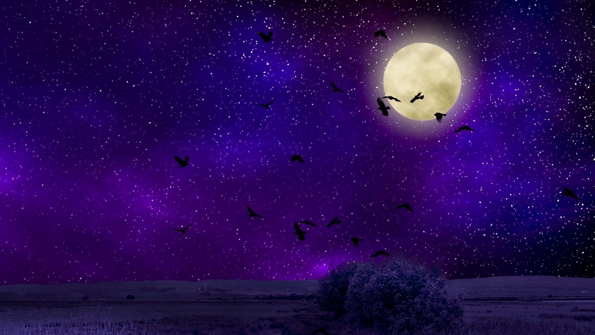 1920x1080 Moon Birds Night Sky Artistic HD Wallpaper Sky Wallpaper Moon