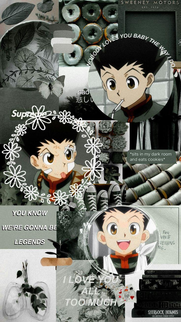 736x1308 Hunter X Hunter Aesthetic Wallpaper