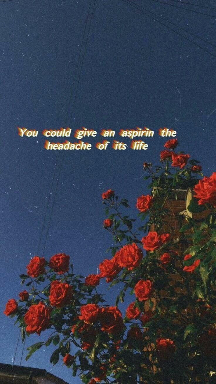 736x1307 Aesthetic Song Wallpaper .