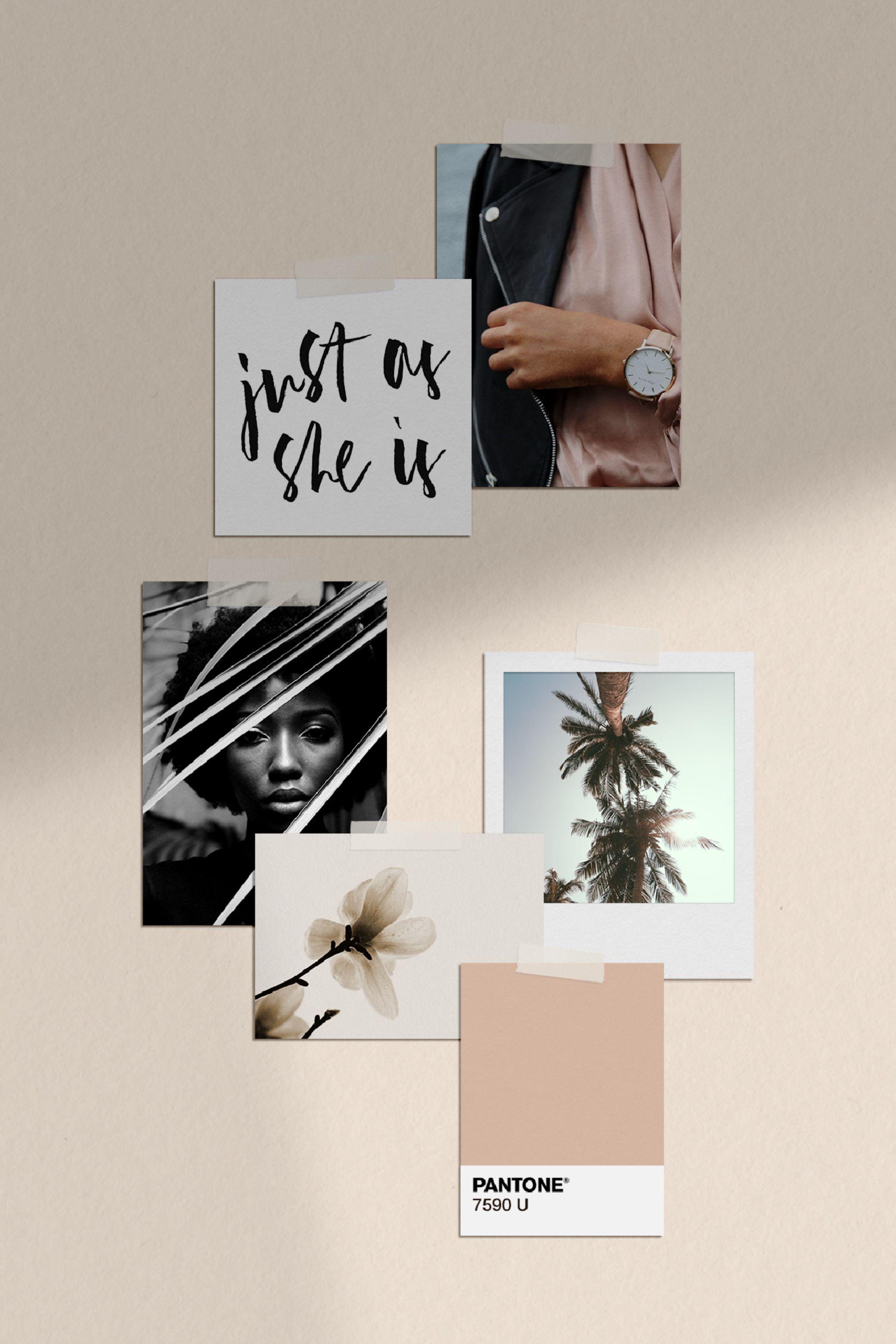 2048x3072 Melrose Semi Custom Brand By Assimilation Designs. Aesthetic Iphone Wallpaper, Aesthetic Room Decor, Mood Board