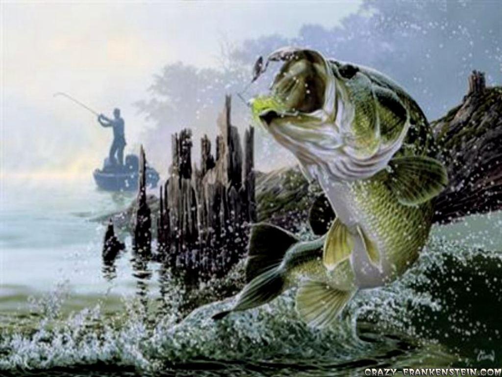 1024x768 Free Bass Fishing Wallpaper