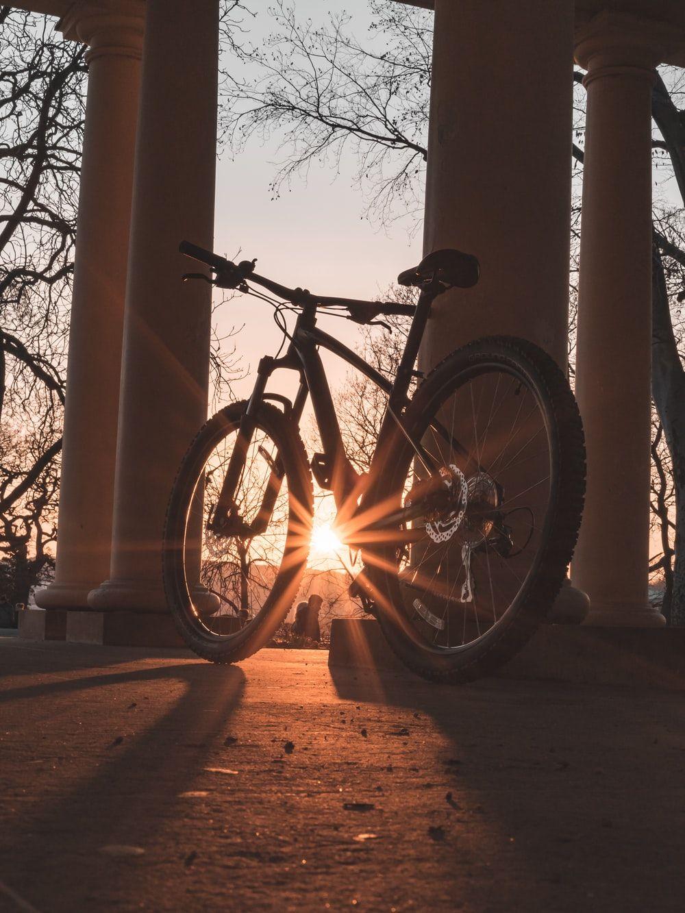 1000x1333 Best Bicycle Picture [HD]. Download Free Image