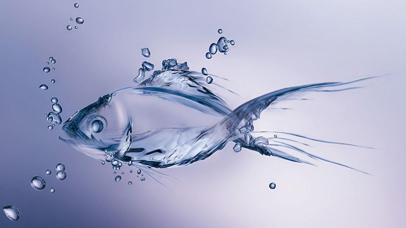 1366x768 Water Fish Wallpaper