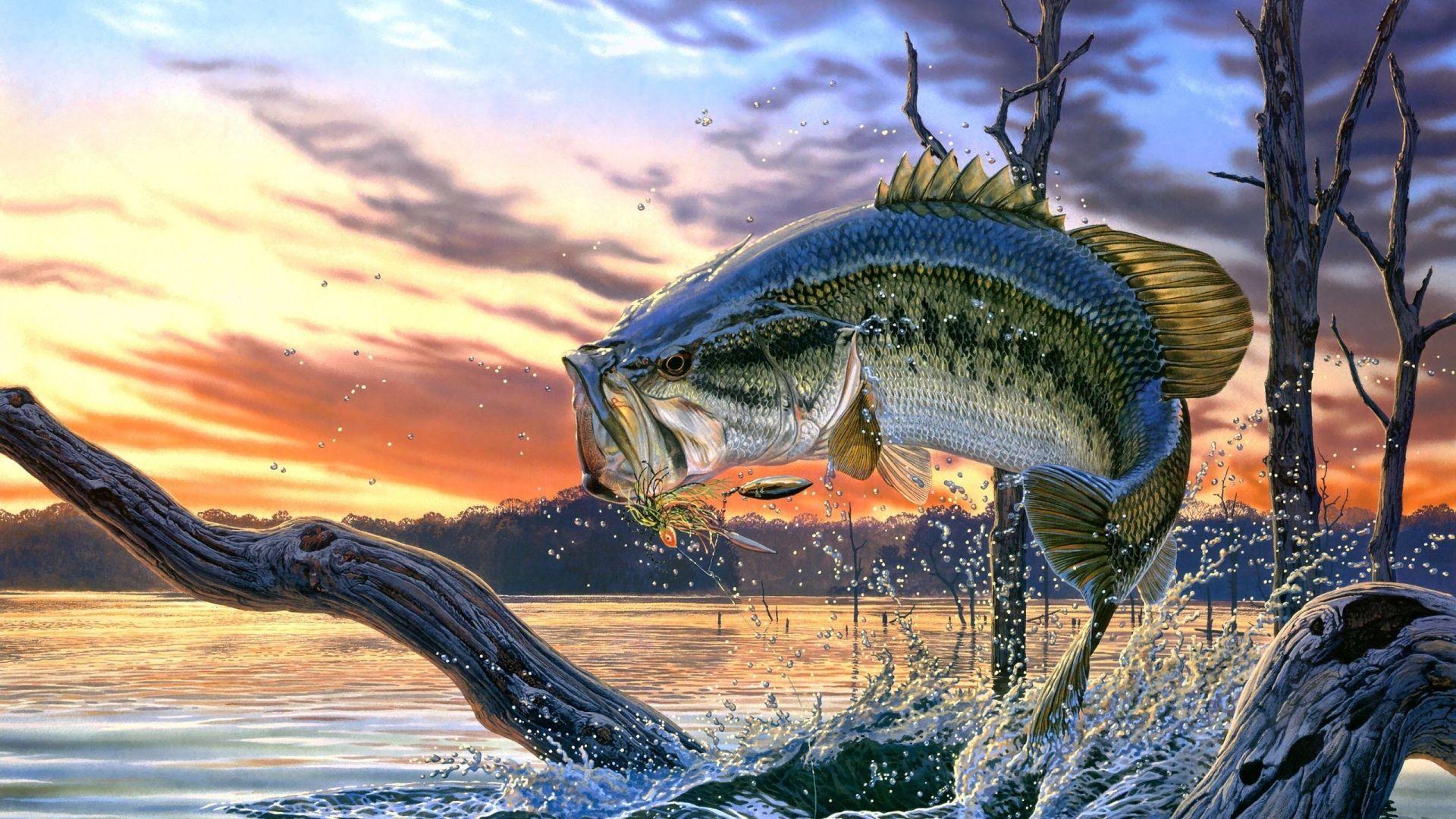 1920x1080 Creepy Fish Wallpaper .