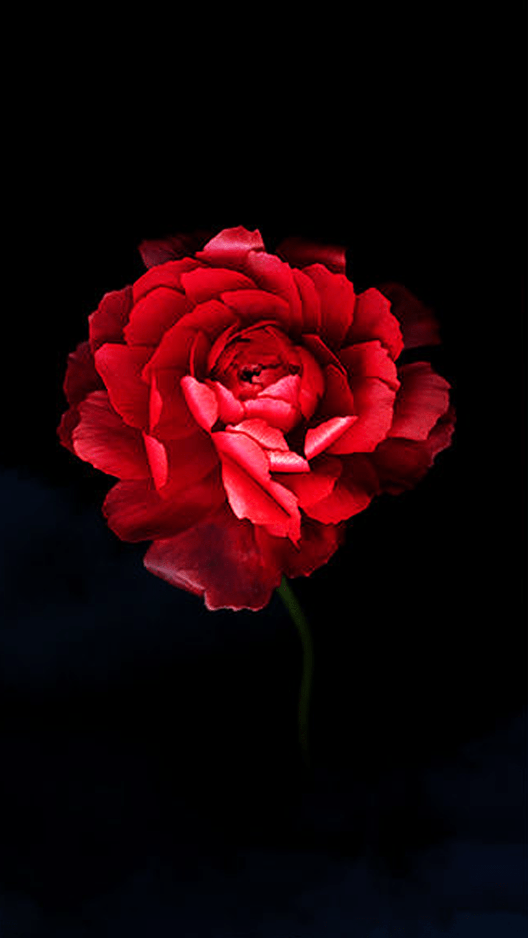 1080x1920 Download UMi Plus E Stock Wallpaper