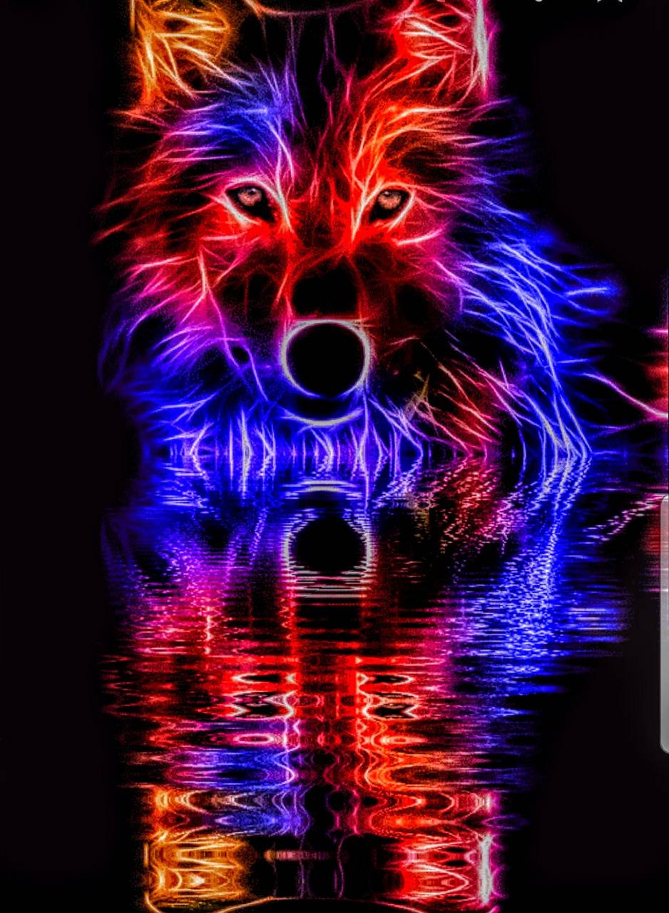 Wolf Wallpapers 4K APK 573 for Android  Download Wolf Wallpapers 4K APK  Latest Version from APKFabcom