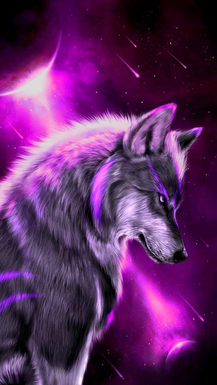 720x1280 Galaxy Wolf Rainbow Wallpaper