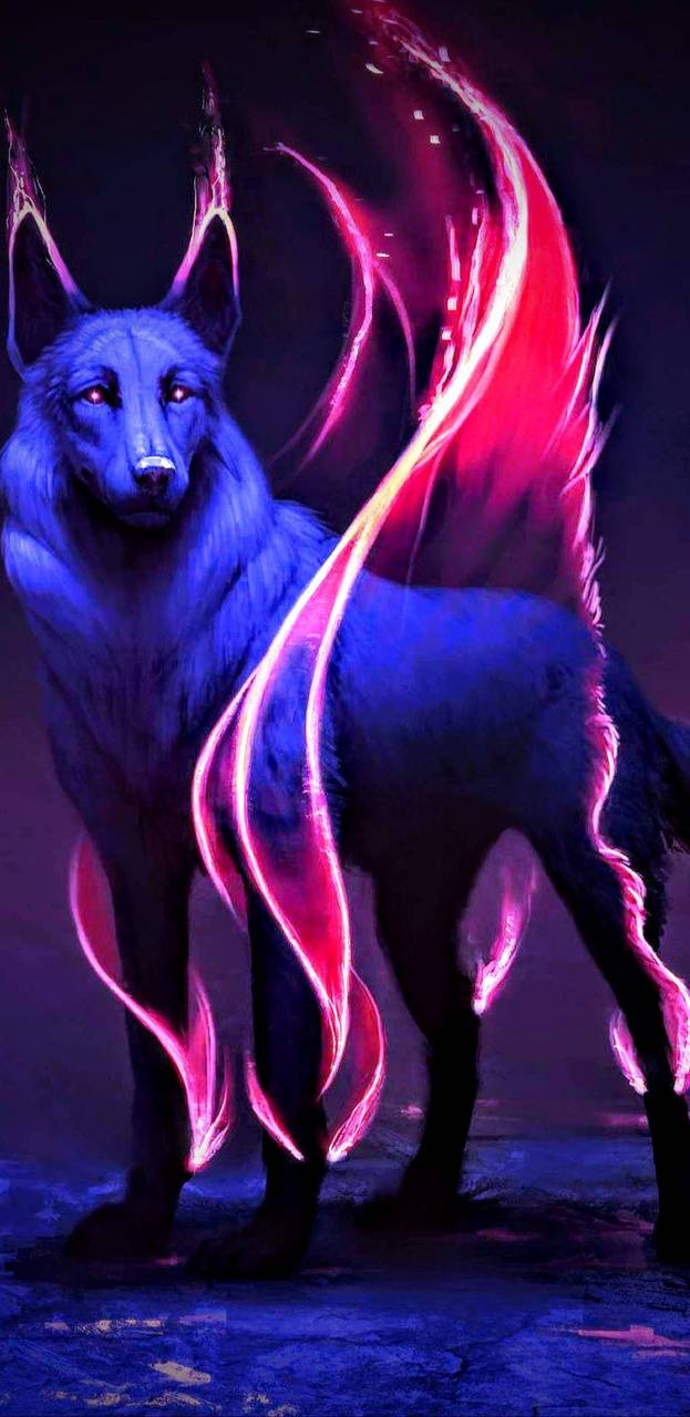 623x1280 Galaxys wolf wallpaper
