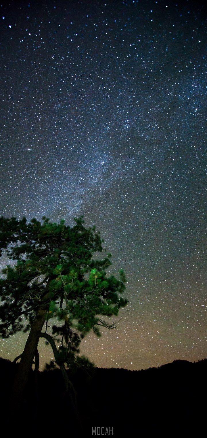 720x1520 Umidigi One Max HD wallpaper, Background